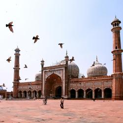 Delhi 31 hotels