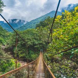 Cherrapunji 53 homestays
