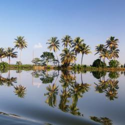 Kottayam 76 hotels with parking
