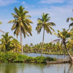 Kollam 5 resorts