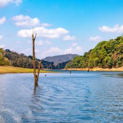 Thekkady 150 hotels with parking