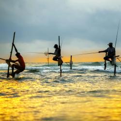 Weligama