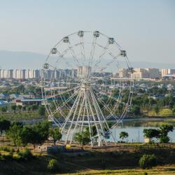 Shymkent 223 apartments
