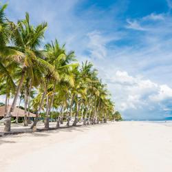 Panglao Island 435 hotels