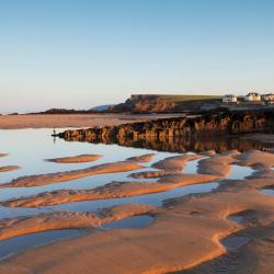 Bude 21 B&Bs