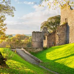 Pickering 3 Hoteles con alberca