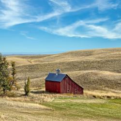 Moscow 4 hot&eacute;is com piscina