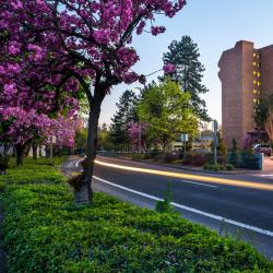 Salem 28 pet-friendly hotels