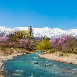 Hakuba 543 hotels with parking