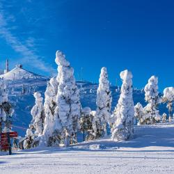 Ruka