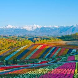 Furano 231 hotels with parking