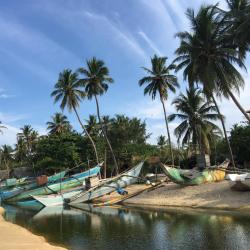 Arugam Bay 65 hot&eacute;is na praia