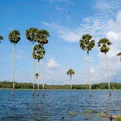Palakkad 4 resorts