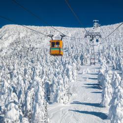 Zaō Onsen 31 hotels