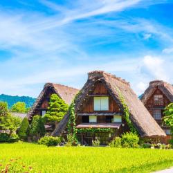 Gifu 3 ryokans