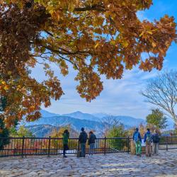 Hachioji 19 hotels with parking