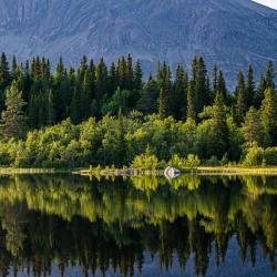 Hemsedal 50 4-star hotels