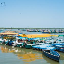Tumbes 5 boliger ved stranden