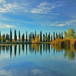 Alcorc&oacute;n 5 bed & breakfast