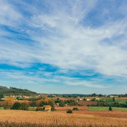 Arz&uacute;a 8 hostels