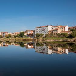 Miranda de Ebro 3 hotels que accepten animals