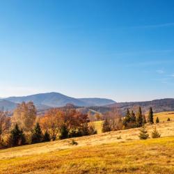 Brenna 13 hot&eacute;is com piscina
