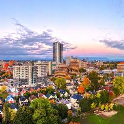 Kitchener 136 hotels