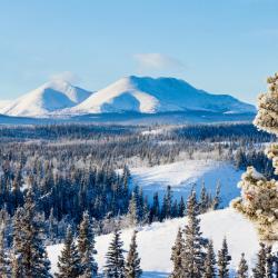 Whitehorse 80 hotelů