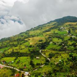 Choachí 8 glamping sites
