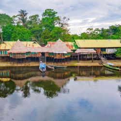 Leticia 5 lodges