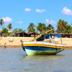 Barra Grande 233 hotels