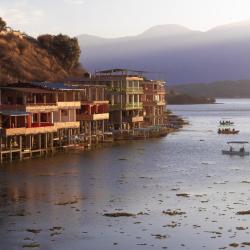 Tarija