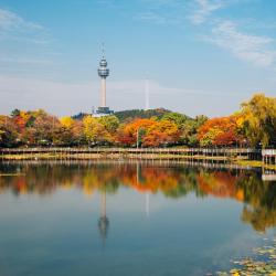 Daegu