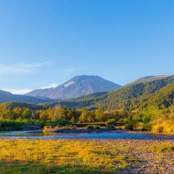 Malalcahuello 84 hoteles con estacionamiento