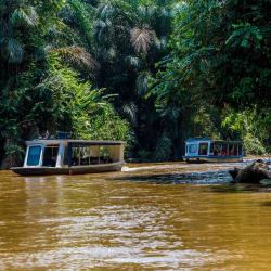 Tortuguero