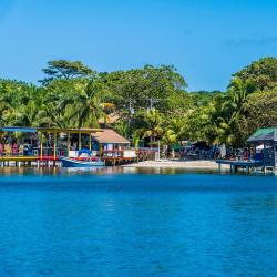 Roatán 142 hotels