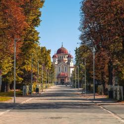 Târgu Jiu 11 hotels with pools