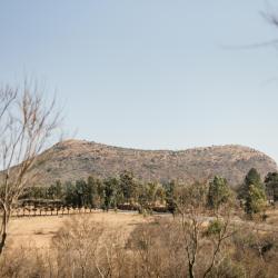Muldersdrift 29 hotelů