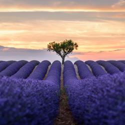 Manosque 7 B&Bs
