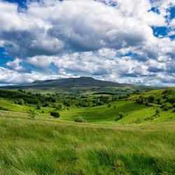 Cavan 39 hotel con parcheggio