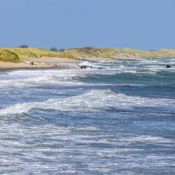 Rosslare 13&nbsp;boenden