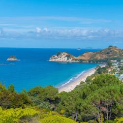 Coromandel Town 58 hotels with parking