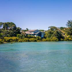 Raglan 3 glamping sites