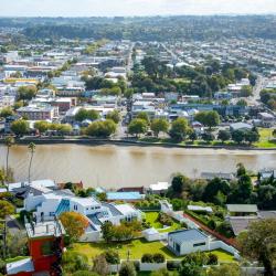 Whanganui 11 pet-friendly hotels