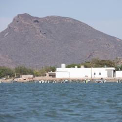 Los Mochis 60 hotels