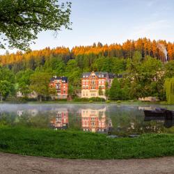 Bad Elster 4 hoteles con tinas de hidromasaje