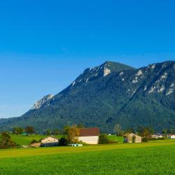 Inzell 6 vacation homes