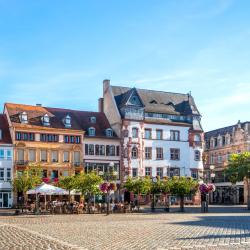 Landau in der Pfalz 31 hot&eacute;is com estacionamento
