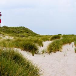 List 326 hot&eacute;is com estacionamento