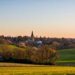 Ratingen 85 hoteller